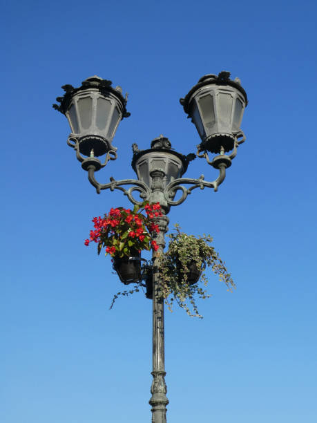 istock Street lamp with flowers 1259983711