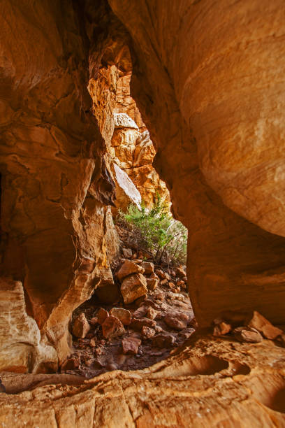 istock Cederberg Mountain Wilderness Area Scene 12938 1259985324