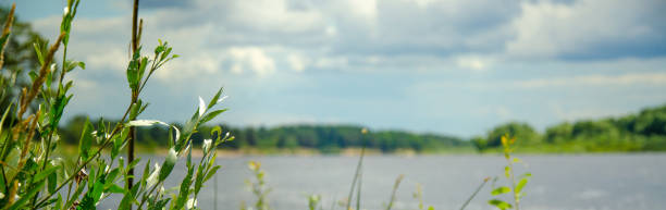 istock nature protection. River flows. Protect the environment. ecology 1260010858