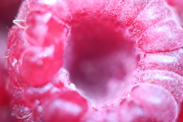istock bottom of fresh raspberries 1260011902