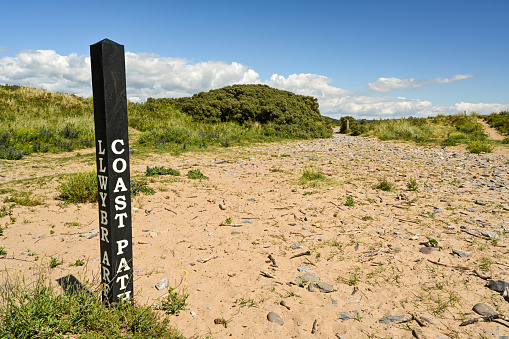 Wooden post marking the route of a coastal path, No people. Copy space
