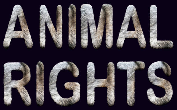 animal rights phrase written in capital letters with fur inside. concept for animalism, vegan life, ethical, nonviolence, activism animal rights phrase written in capital letters with fur inside. concept for animalism, vegan life, ethical, nonviolence, activism fur protest stock pictures, royalty-free photos & images