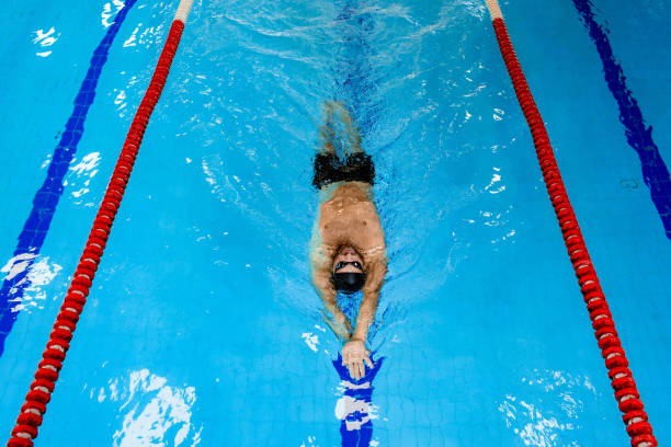 istock Man swimmer swims backstroke in the swimming pool. Top view, backstroke training 1260023353