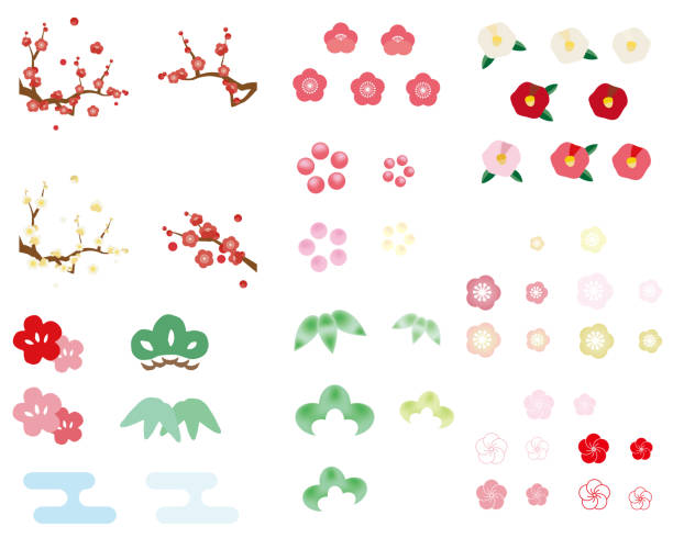 Illustration set of various Shochikubai parts. Illustration set of various Shochikubai parts. plum blossom stock illustrations