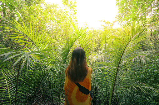 Beautiful green leaves and trees. Blurred focus of a Girl back view in dye tie shirt standing in rainforest with rays of sunlight beaming through leaves of trees in the sky.