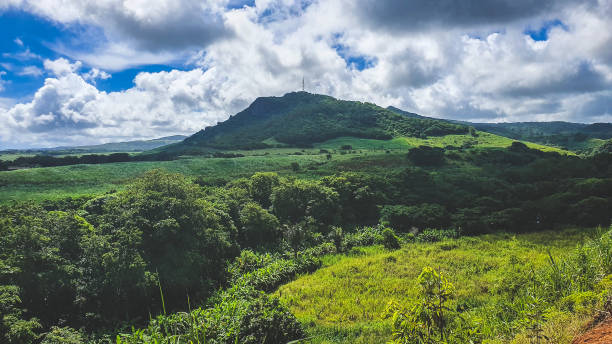 istock View of a hill with clouds over a valley with rain forest 1260065509