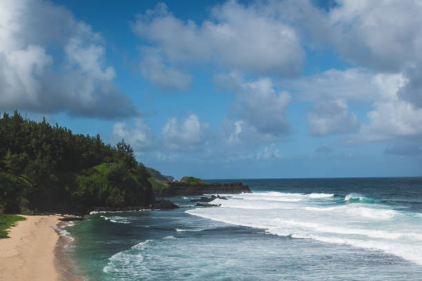istock wild beach with strong surf on mauritus 1260068292
