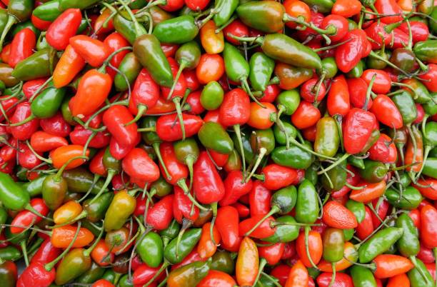 istock Red and green chili peppers 1260068337