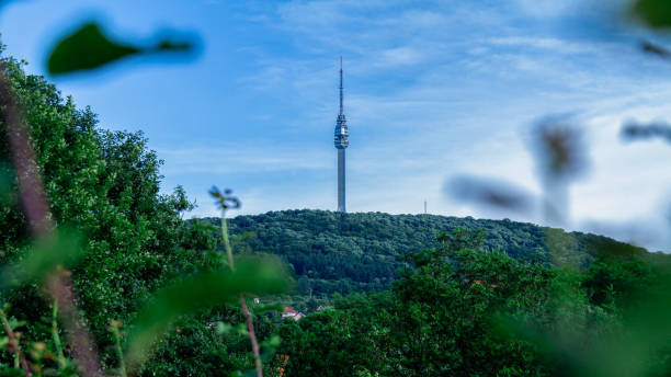 istock Avala mountain in Belgrade, Serbia with blue sky and white clouds. 1260076145