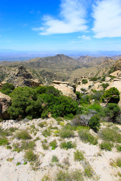 istock Santa Catalina Mountains, AZ 1260088213