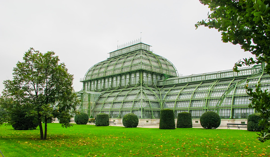 Palm house in Pillnitz Castle and Park in Dresden, Free State of Saxony