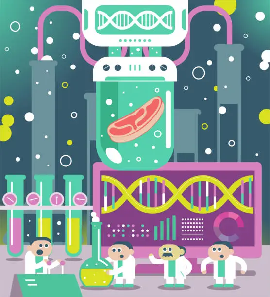 Vector illustration of Scientist (engineer, doctor, biochemist) team making cultured meat (artificial meat, lab-grown burger) in laboratory. Genetic engineering, genetic modification, GMO and gene manipulation concept