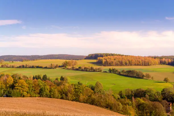 Autumn landscape with colorful foliage on the trees and rolling green hills under a cloudy blue sunny sky in a concept of the seasons