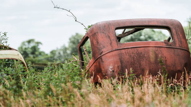 istock Old rusting vintage car or barn find in an overgrown field 1260116301