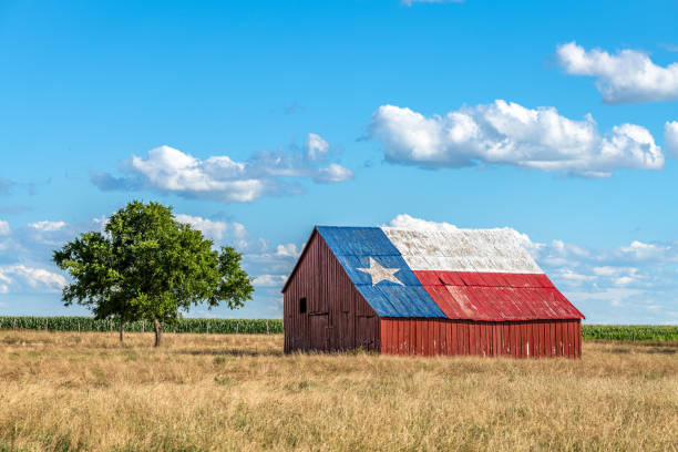 Barn with Texas Flag An abandoned old barn with the symbol of Texas painted on the roof sits in a rural area of the state, framed by farmland. agricultural building photos stock pictures, royalty-free photos & images