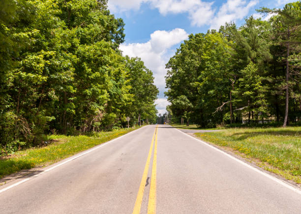 istock A road in the woods 1260129932