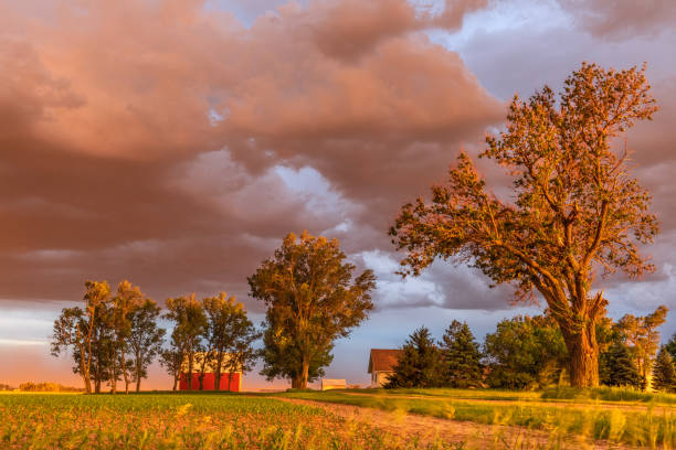 istock Dust Storm near Home 1260139451