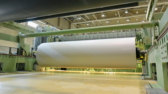 paper mill: production of paper rolls for the printing industry - paper rolls in a factory