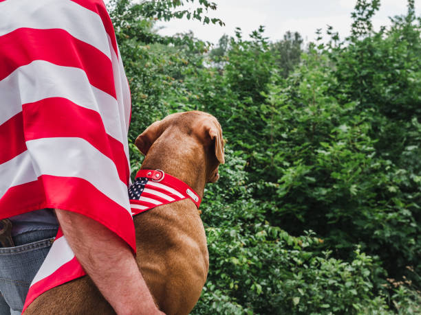 istock Handsome man, charming puppy and American Flag 1260195092