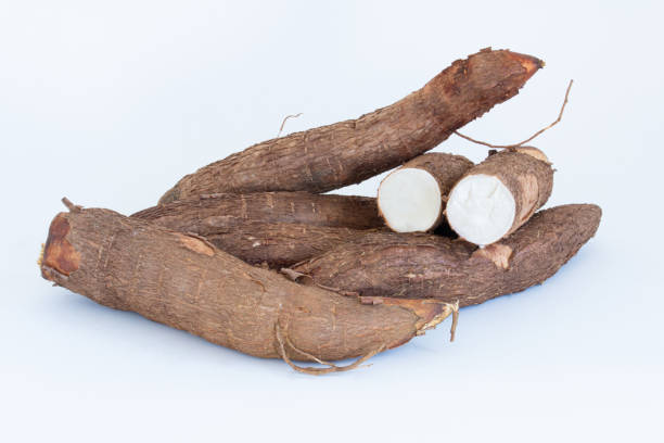 istock Fresh Cassava root isolated on a white background. Space copy. 1260215860