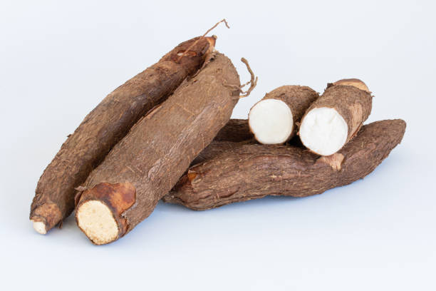 istock Fresh Cassava root isolated on a white background. Space copy. 1260216391