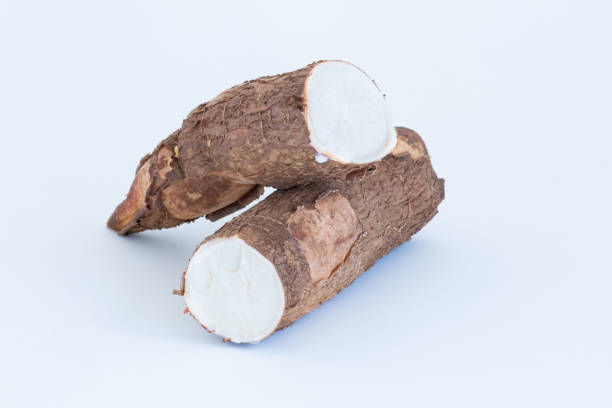 istock Fresh Cassava root isolated on a white background. Space copy. 1260216396
