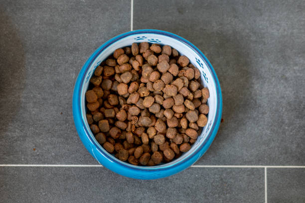 istock Dry pet food 1260231379