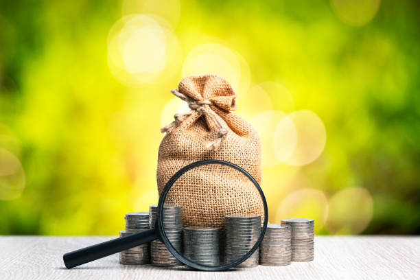 istock Coins stack, Sack and Magnifying glass with blurred green nature background. Saving money concept 1260242455