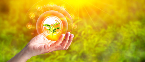 istock Sustainable development and Ecology concept. Hands holding green leaf with icons energy sources for renewable 1260243368