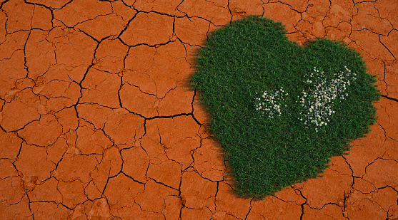 3D rendering of a heart with grass texture on a dried up soil in a drought