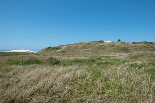 istock Archaeological site Ponta da Garopaba do Sul, SC - Brazil 1260256770