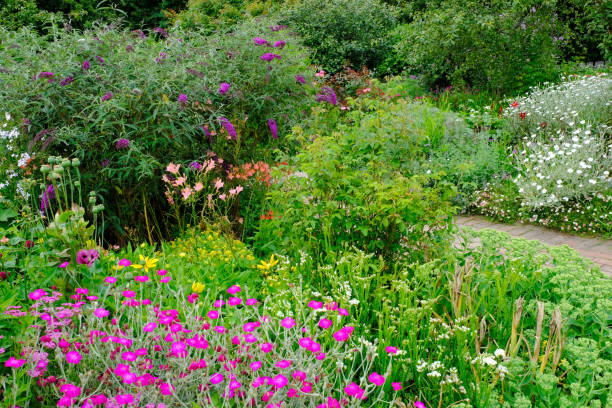 istock Lush English Flowerbed 1260272325