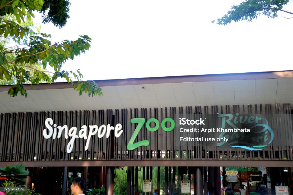 Entrance Of Singapore Zoo And River Safari Stock Photo - Download Image Now  - Ticket, Zoo, Animal - iStock