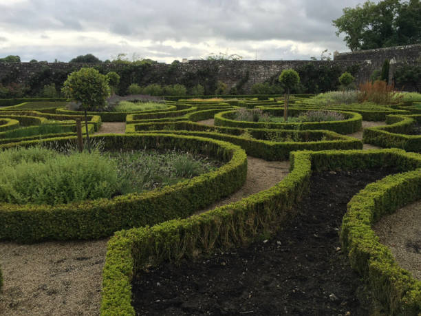 istock Gardens in Ireland 1260319063