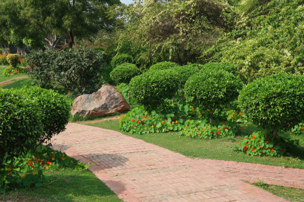 istock Image of public garden blocked pathway, fig trees, nasturtiums, boulder on sunny day 1260331940