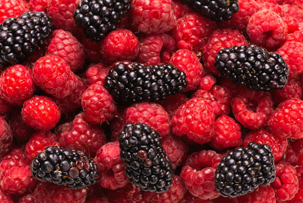 istock Tasty raspberry and blackberry background. 1260340625