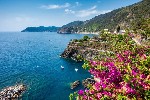 istock cinque terre cliffs from Manarola, ITaly 1260363674
