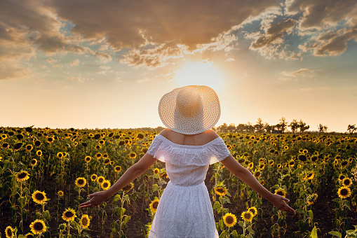 Beautiful young girl enjoying nature on the field of sunflowers. stands back and looks at the sunset, the girl raised her hands in the air, beautiful back sunset light.