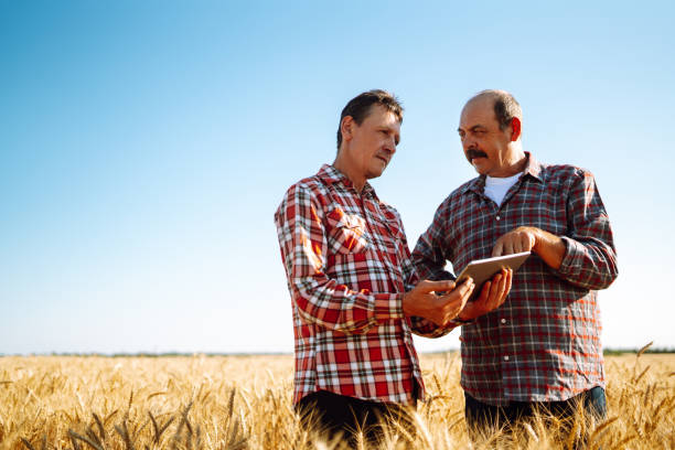 istock Farmers with tablet in the field. Smart farm 1260435096