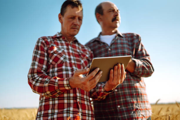 istock Farmers with tablet in the field. Smart farm 1260435601