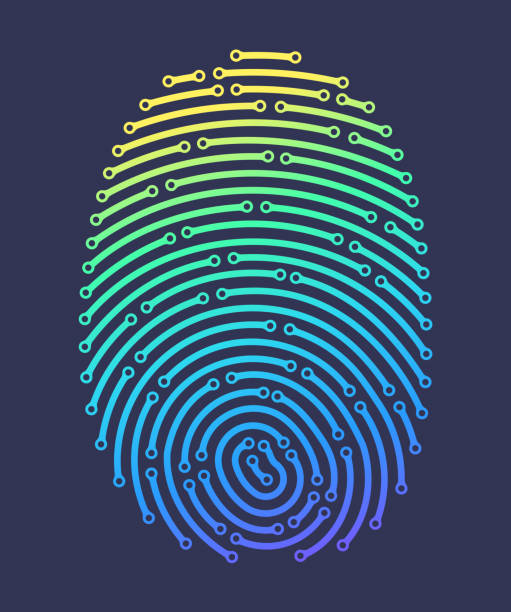 cyfrowy odcisk palca - fingerprint backgrounds identity human finger stock illustrations