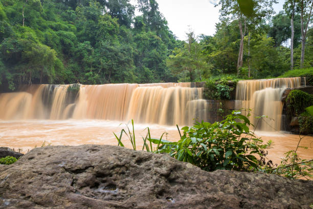 crue éclair dans la cascade . chute d’eau de crue éclair dans la forêt tropicale. crue éclair en cascade le long de la cascade brune de la forêt tropicale tropicale. - tropical rain forest flash photos et images de collection