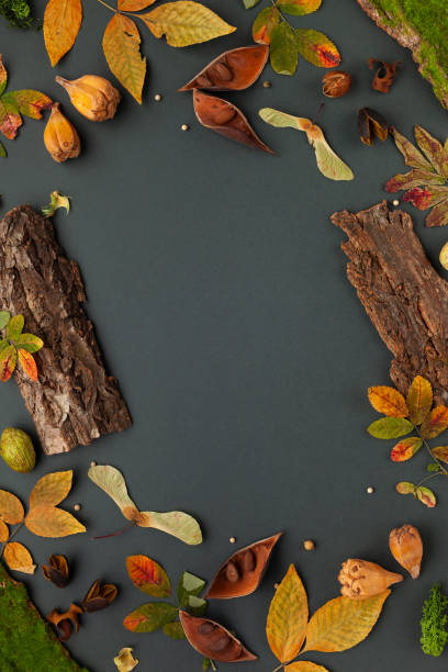 istock Autumnal-winter concept with dried flowers on dark background. 1260471655