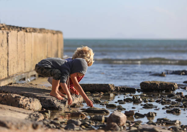 istock Two brothers playing and searching for treasury on a beach 1260478103