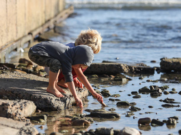 istock Two brothers playing and searching for treasury on a beach 1260479152