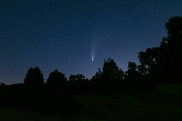 istock Neowise comet C/2020 F3 above night forest 1260491403