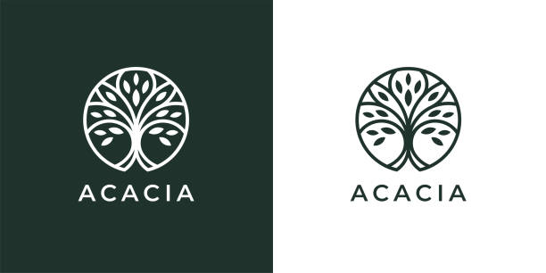 Circle tree line icon Circle tree line icon template design. Abstract round garden plant natural symbol. Green branch with leaves business sign. Vector illustration. acacia tree stock illustrations