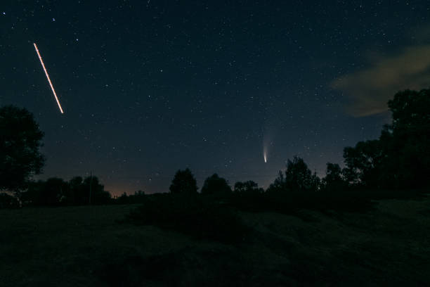 istock Neowise comet C/2020 F3 above night forest 1260498454