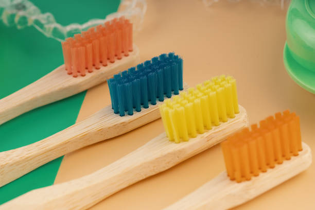 istock Wooden bamboo eco friendly toothbrushes and orthodontic cages 1260502054