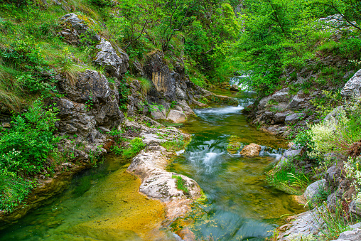 Beautiful mountain river on the Old Mountain, Stara Planina, Serbia, Europe